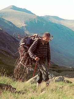 Dostawa suchego ja�owca